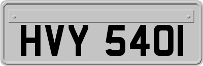 HVY5401