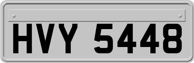 HVY5448