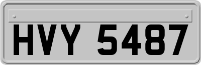 HVY5487