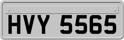 HVY5565