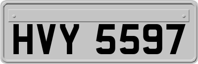 HVY5597