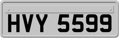 HVY5599