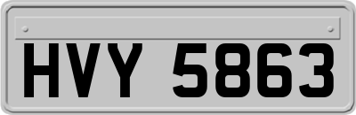 HVY5863