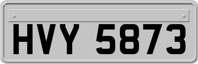 HVY5873