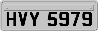 HVY5979