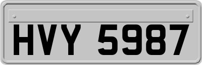 HVY5987