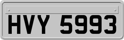 HVY5993