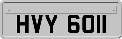 HVY6011