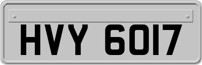 HVY6017