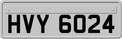 HVY6024