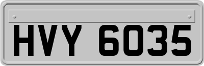 HVY6035
