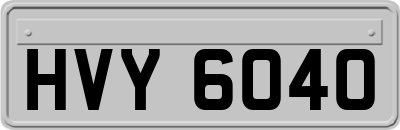 HVY6040