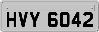 HVY6042