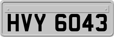 HVY6043