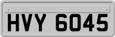 HVY6045
