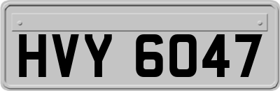 HVY6047