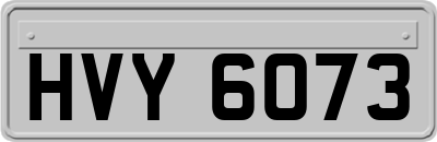 HVY6073