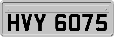 HVY6075