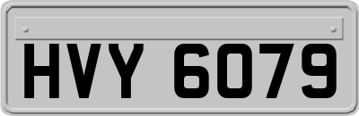 HVY6079