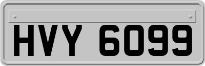 HVY6099