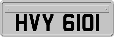 HVY6101