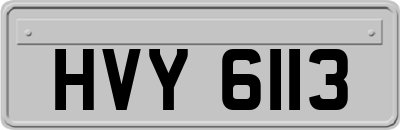 HVY6113