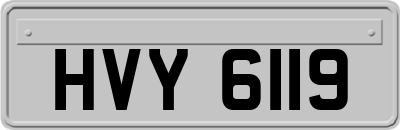 HVY6119