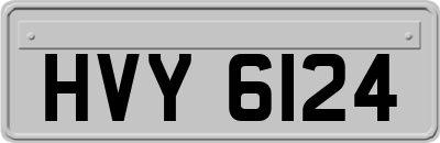 HVY6124