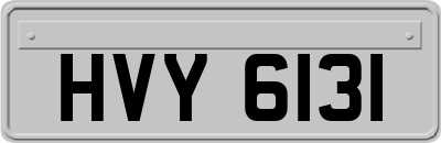 HVY6131