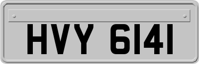 HVY6141