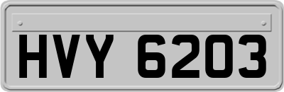HVY6203
