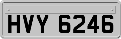 HVY6246
