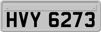 HVY6273