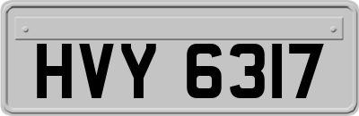 HVY6317