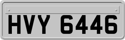HVY6446