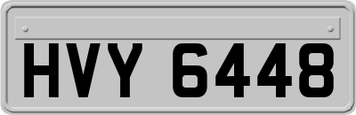 HVY6448