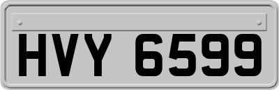 HVY6599