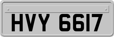 HVY6617