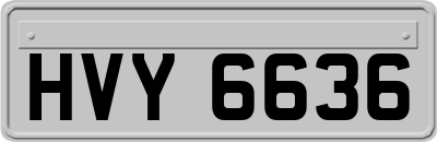 HVY6636