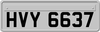 HVY6637
