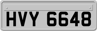 HVY6648
