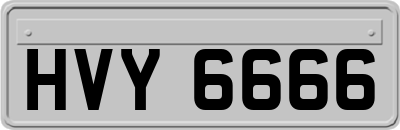 HVY6666