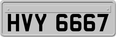 HVY6667