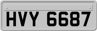 HVY6687