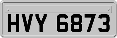 HVY6873
