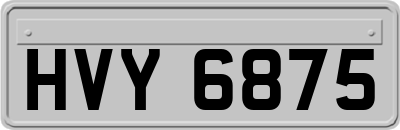 HVY6875