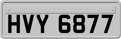 HVY6877