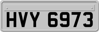 HVY6973