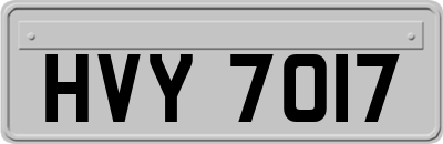HVY7017