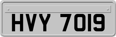 HVY7019
